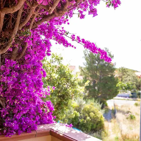 Lejlighed Casa Sinclair, Air-con E Giardino Cala Gonone